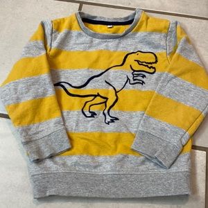 Boys dinosaur sweatshirt